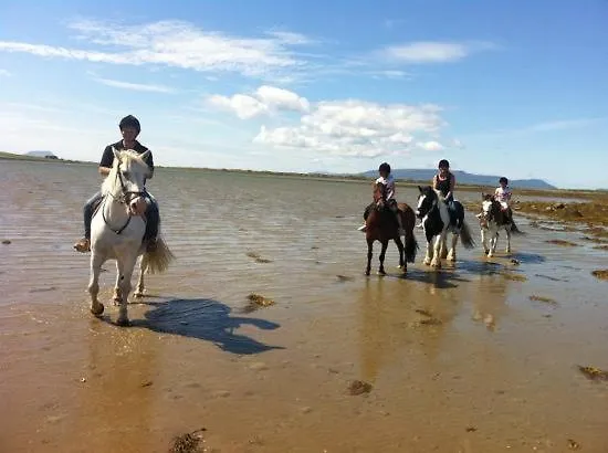 Lejlighed Pier Road Cottage, Croagh Patrick *