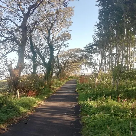 Pier Road Cottage, Croagh Patrick 公寓 韦斯特波特
