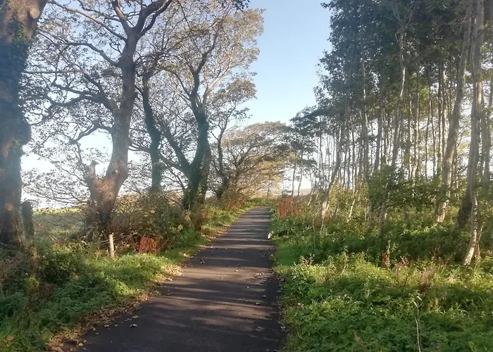 Pier Road Cottage, Croagh Patrick 아파트 웨스트포트